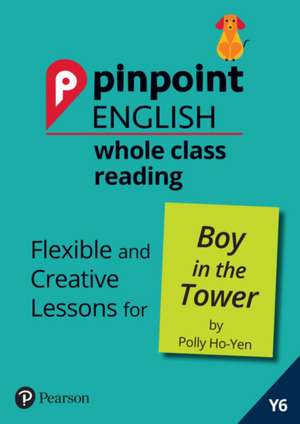 Pinpoint English Whole Class Reading Y6: Boy in the Tower de Annabel Gray