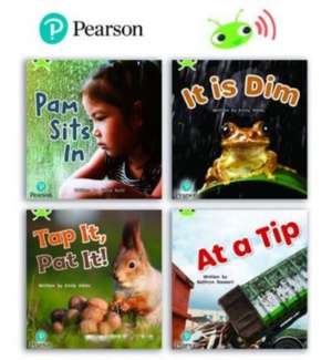 Learn to Read at Home with Bug Club Phonics: Phase 2 - Reception Term 1 (4 non-fiction books) Pack A de Emily Hibbs