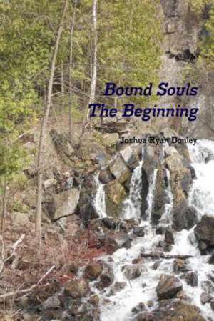 Bound Souls the Beginning de Joshua Ryan Donley