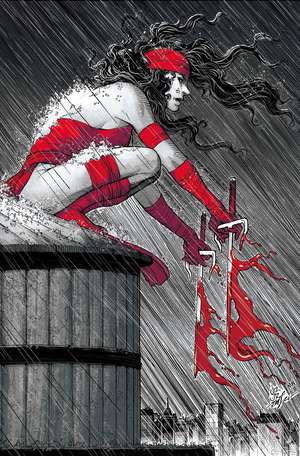 Elektra: Black, White & Blood Treasury Edition de Charles Soule