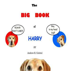 The Big Book of Harry de Andrew Gabriel