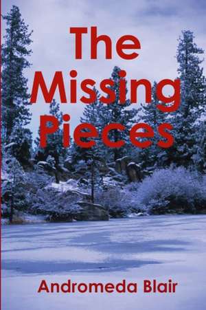 The Missing Pieces de Andromeda Blair