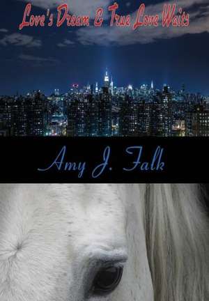 Davis Family Series Books 1-2 de Amy J. Falk