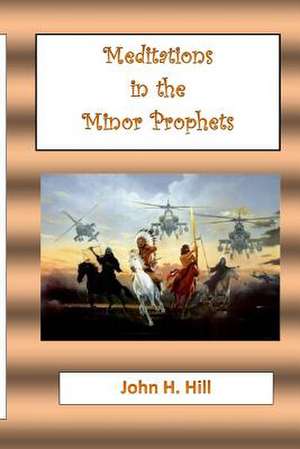 Meditations in the Minor Prophets de John Hill