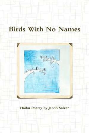 Birds with No Names de Jacob Salzer