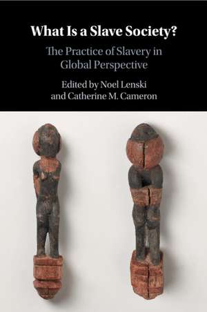 What Is a Slave Society?: The Practice of Slavery in Global Perspective de Noel Lenski