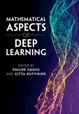 Mathematical Aspects of Deep Learning de Philipp Grohs