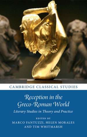 Reception in the Greco-Roman World: Literary Studies in Theory and Practice de Marco Fantuzzi