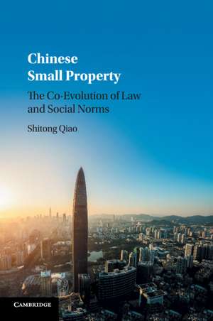 Chinese Small Property: The Co-Evolution of Law and Social Norms de Shitong Qiao