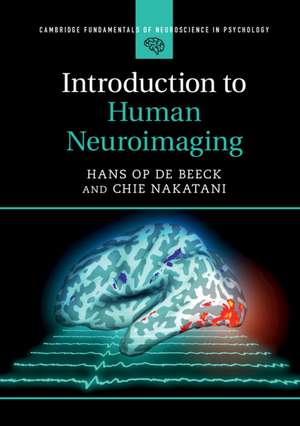 Introduction to Human Neuroimaging de Hans Op de Beeck