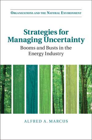 Strategies for Managing Uncertainty: Booms and Busts in the Energy Industry de Alfred A. Marcus