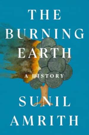 The Burning Earth de Sunil Amrith