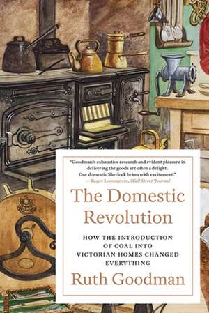 The Domestic Revolution – How the Introduction of Coal into Victorian Homes Changed Everything de Ruth Goodman