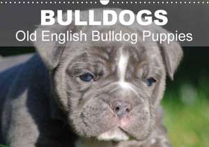 Bulldogs - Old English Bulldog Puppies (Wall Calendar 2018 DIN A3 Landscape) de Elisabeth Stanzer