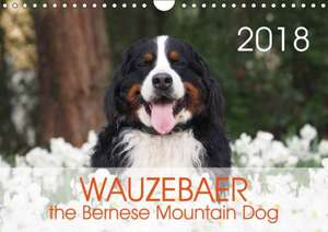 WAUZEBAER the Bernese Mountain Dog (Wall Calendar 2018 DIN A4 Landscape) de Sonja Brenner