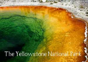 The Yellowstone National Park (Wall Calendar 2020 DIN A3 Landscape) de Crystallights By Sylvia Seibl