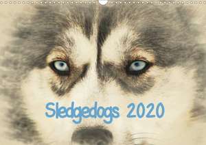 Sledgedogs 2020 / UK-Version (Wall Calendar 2020 DIN A3 Landscape) de Andrea Redecker