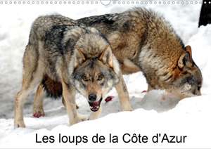 Les loups de la Côte d'Azur (Calendrier mural 2020 DIN A3 horizontal) de Alain Hanel