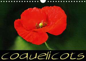 Coquelicots (Calendrier mural 2020 DIN A4 horizontal) de k. A. Sudpastel