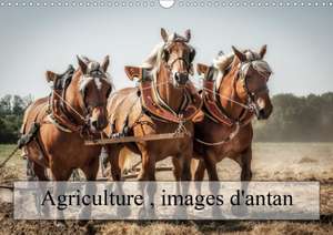 Agriculture, images d'antan (Calendrier mural 2020 DIN A3 horizontal) de Alain Gaymard