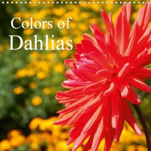 Colors of Dahlias (Wall Calendar 2020 300 × 300 mm Square) de Martina Busch