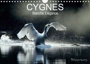 CYGNES. Blanche Elégance (Calendrier mural 2020 DIN A4 horizontal) de Philippe Henry