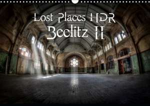 Lost Places HDR Beelitz II (Wall Calendar 2020 DIN A3 Landscape) de Stanislaw´S Photography