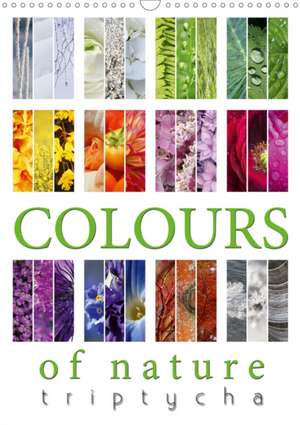 Colours of Nature - Triptycha (Wall Calendar 2020 DIN A3 Portrait) de Martina Cross