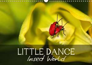 Little Dance Insect World (Wall Calendar 2020 DIN A3 Landscape) de Vronja Photon