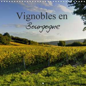 Vignobles en Bourgogne (Calendrier mural 2020 300 × 300 mm Square) de Didier Sibourg