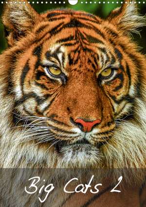 Big Cats2 (Wall Calendar 2020 DIN A3 Portrait) de k. A. Dalyn