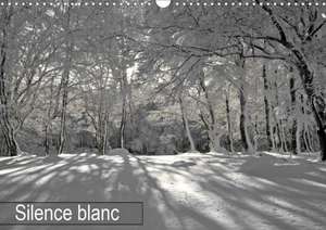 Silence blanc (Calendrier mural 2020 DIN A3 horizontal) de Patrice Thébault