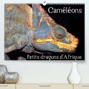 Caméléons - Petits dragons d'Afrique.(Premium, hochwertiger DIN A2 Wandkalender 2020, Kunstdruck in Hochglanz) de Chris Hellier