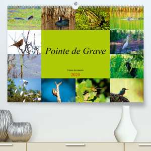 Pointe de Grave - Faune des marais(Premium, hochwertiger DIN A2 Wandkalender 2020, Kunstdruck in Hochglanz) de Dominique DUPEROU - Dom's Photos