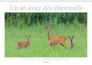 Un an avec des chevreuils (Calendrier mural 2020 DIN A3 horizontal) de Michael Breuer