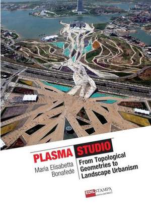 Plasma Works from Topological Geometries to Urban Landscaping de Maria Elisabetta Bonafede