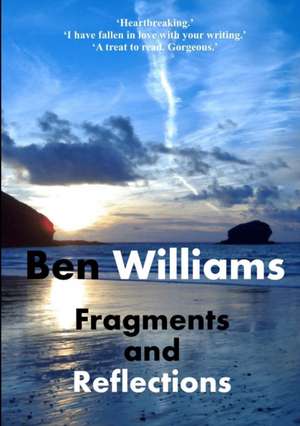 Fragments and Reflections de Ben Williams