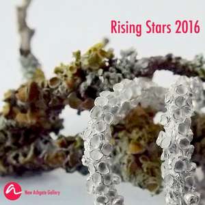 Rising Stars 2016 de New Ashgate Gallery