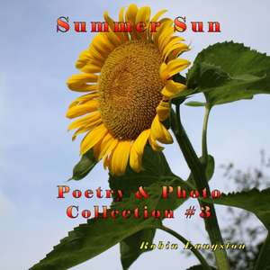 Summer Sun de Robin Langston