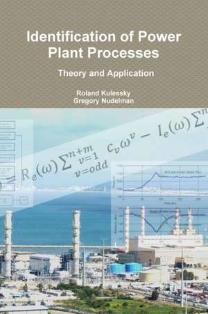 Identification of Power Plant Processes - Theory and Application de Roland Kulessky