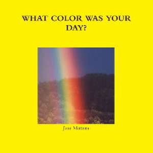 What Color Was Your Day? de Jane Mattern