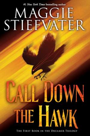 Call Down the Hawk (the Dreamer Trilogy, Book 1) de Maggie Stiefvater