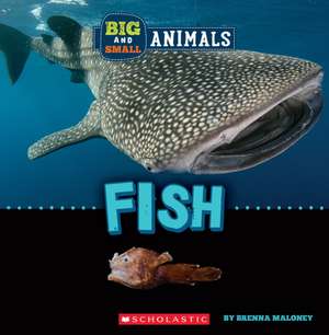 Fish (Wild World: Big and Small Animals) de Brenna Maloney