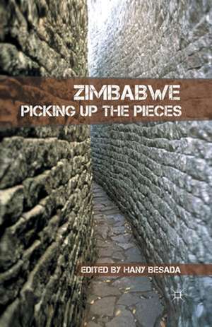 Zimbabwe: Picking up the Pieces de H. Besada