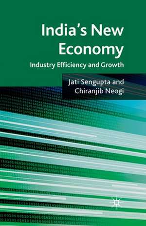 India's New Economy: Industry Efficiency and Growth de J. K. Sengupta