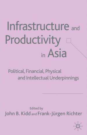 Infrastructure and Productivity in Asia: Political, Financial, Physical and Intellectual Underpinnings de J. Kidd