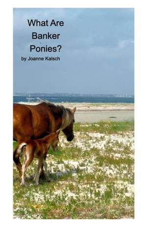 What Are Banker Ponies? de Joanne Kalsch