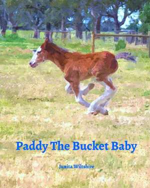 Paddy the Bucket Baby de Junita Wiltshire