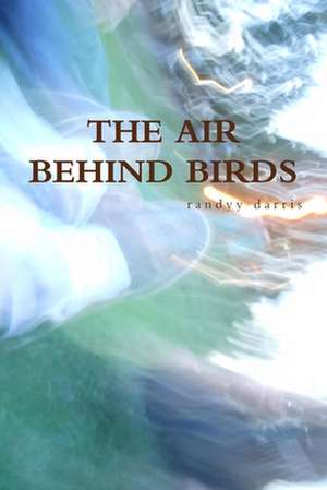 The Air Behind Birds de Randyy Darris