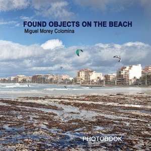 Found Objects on the Beach de Miguel Morey Colomina